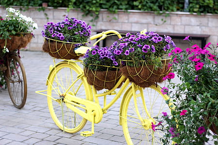yellow beach cruiser bike with flowers thumbnail