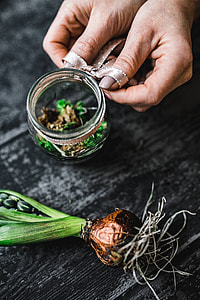 Woman making a little ornamental seedling in a small jar thumbnail