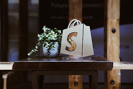 Shopify Logo Window With Plant Photo thumbnail