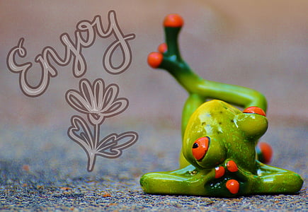 green frog with enjoy text overlay thumbnail