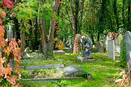 gray concrete tomb near tree and statue thumbnail