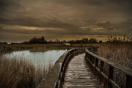 sephia photography of brown lake dock at lake thumbnail
