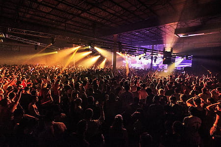 Crowd Loving Music Photo thumbnail