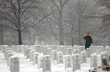 snow covered tombstone field thumbnail