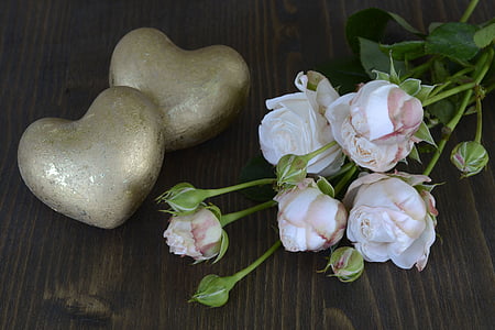 five white petaled flowers on top of brown surface thumbnail