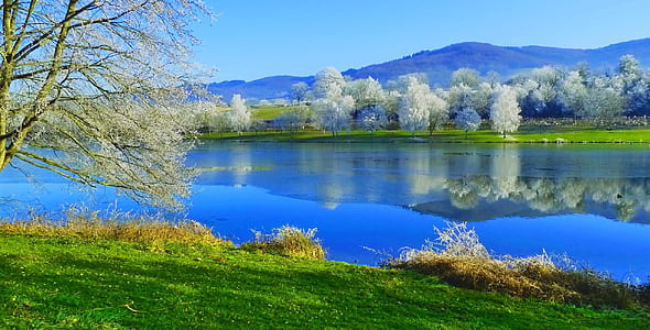 photography of green grass field and lake during daytime thumbnail