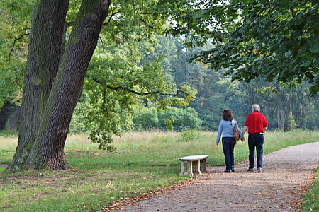 couple walking in park during daytime thumbnail