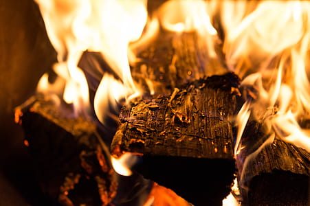burning woods thumbnail