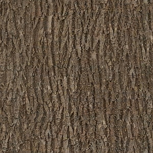 bark, wood, tree, seamless, texture, albedo thumbnail