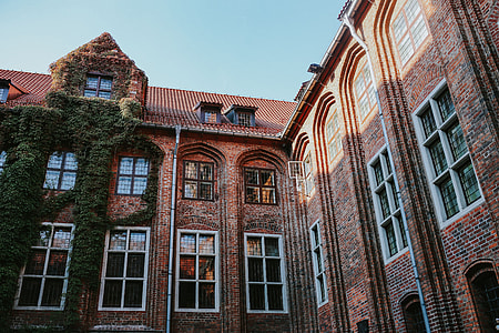 Old building covered in vine thumbnail