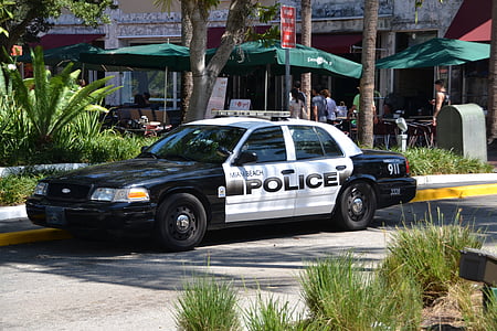 black and white Ford Crown Victoria police cruiser parked near plants during daytime thumbnail