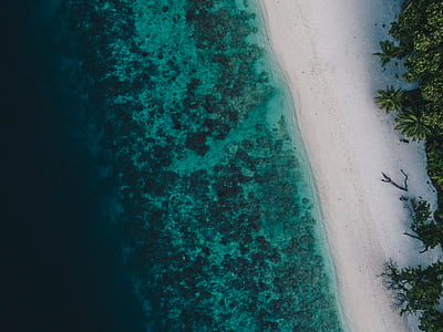aerial photo of seashore thumbnail