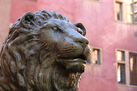 shallow focus photography of brown lion statue thumbnail