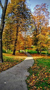 gray hallway between green and yellow leaf trees thumbnail