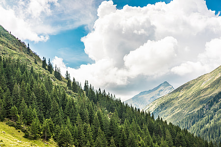 Beautiful Nature in Romanian Mountains thumbnail