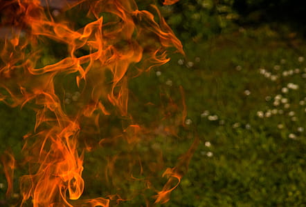 flame closeup photo thumbnail