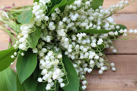 white flowers thumbnail