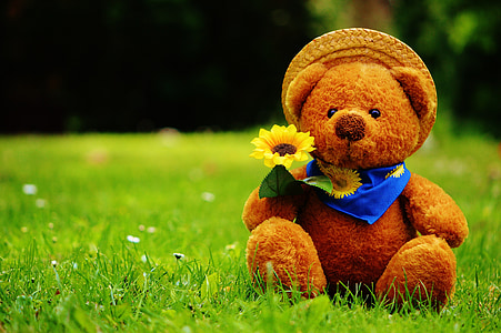 teddy bear with sunflower sitting on the grass thumbnail