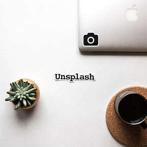 unsplash sticker beside cactus on pot thumbnail
