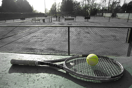 green tennis ball thumbnail
