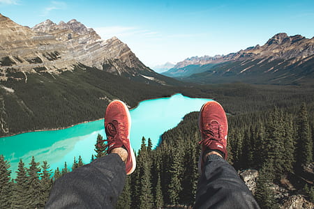 single perspective photography of person sitting in front body of water surrounded by forest thumbnail