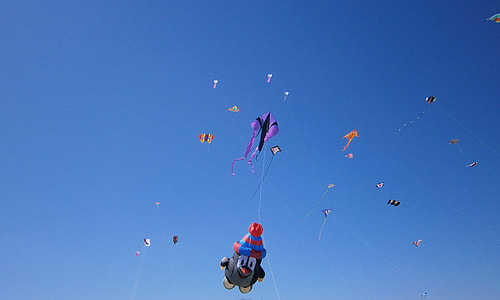 photo of assorted-color kites under clear blue sky thumbnail