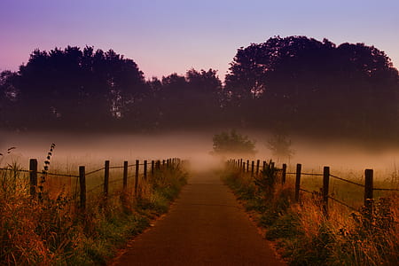 clear roadway between grass thumbnail