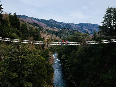 People Standing on Bridge thumbnail