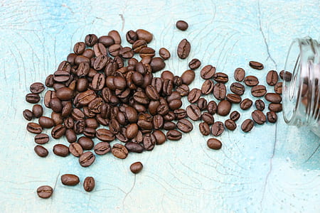 coffee bean lo thumbnail