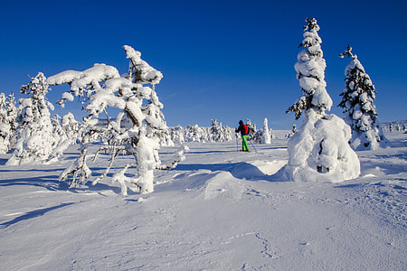Snow Shoe Snow Shoe Run, Finland thumbnail