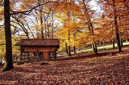 brown wooden house surrounded by trees thumbnail