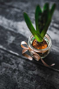 Woman making a little ornamental seedling in a small jar thumbnail