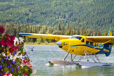 bi plane, bi-plane, small plane, yellow, water, plane thumbnail