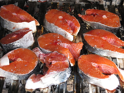 grilled sliced salmon thumbnail