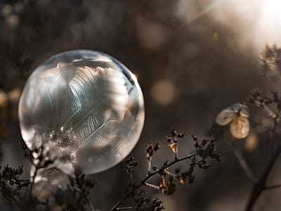 shallow focus photography of bubble thumbnail