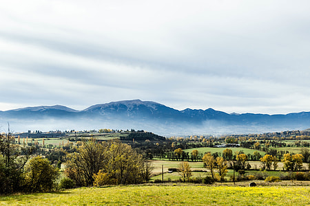 green tress and grass beside mountain thumbnail