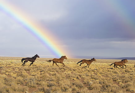 three brown and one black horses painting thumbnail