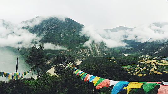 banner hanging on tree thumbnail