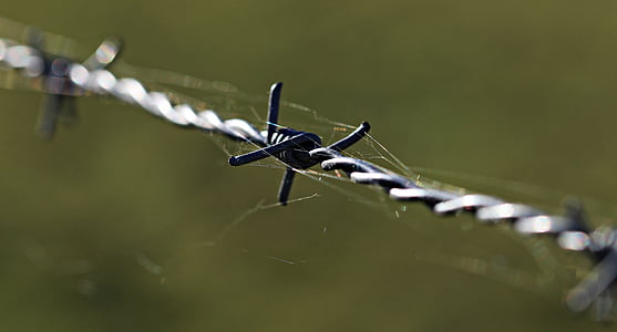 gray steel cyclone wire thumbnail