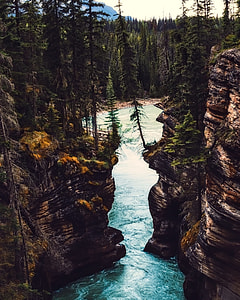 body of water between green leafed trees thumbnail