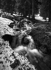 grayscale photo of time lapse waterfalls beside trees at daytime thumbnail