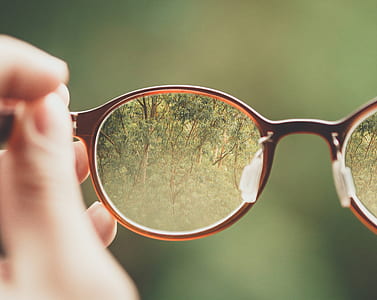 trees reflecting in sunglasses lens thumbnail
