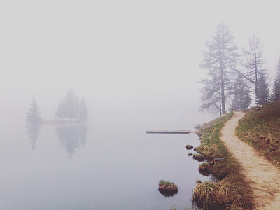 body of water beside trees during daytime thumbnail