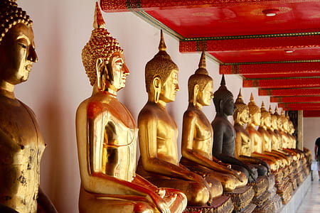 filed of Buddha statuettes thumbnail