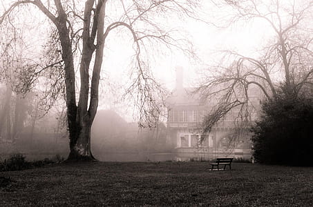 brown and white wooden house near tree during daytime thumbnail