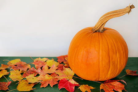 orange pumpkin and maple leaves thumbnail