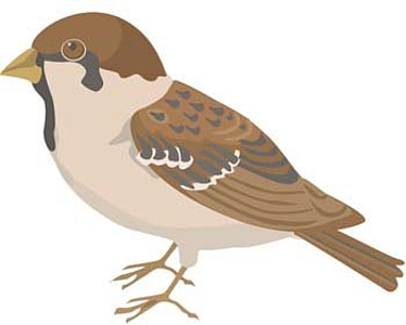 8 Free Burung Graphics Download Uihere