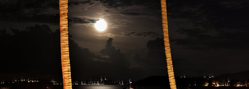 two brown coconut trees under cloudy sky during nighttime thumbnail