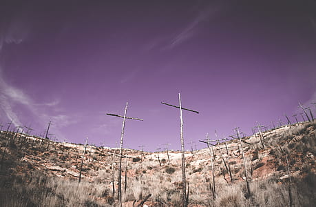 brown wooden cross on brown field thumbnail