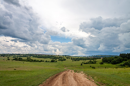 green grass field thumbnail